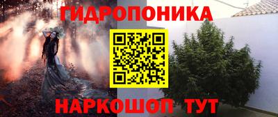 Альфа ПВП Кандалакша