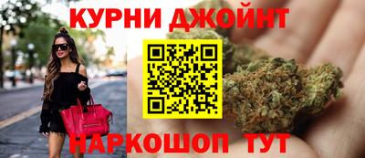 Альфа ПВП Кандалакша