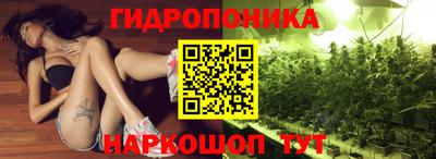 винт Камышлов