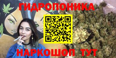 Альфа ПВП Кандалакша