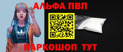 мет Кингисепп